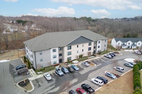 Tiny photo for 1301 Stoney Ridge Blvd #208 Blvd, Forest, VA 24551 (MLS # 364646)