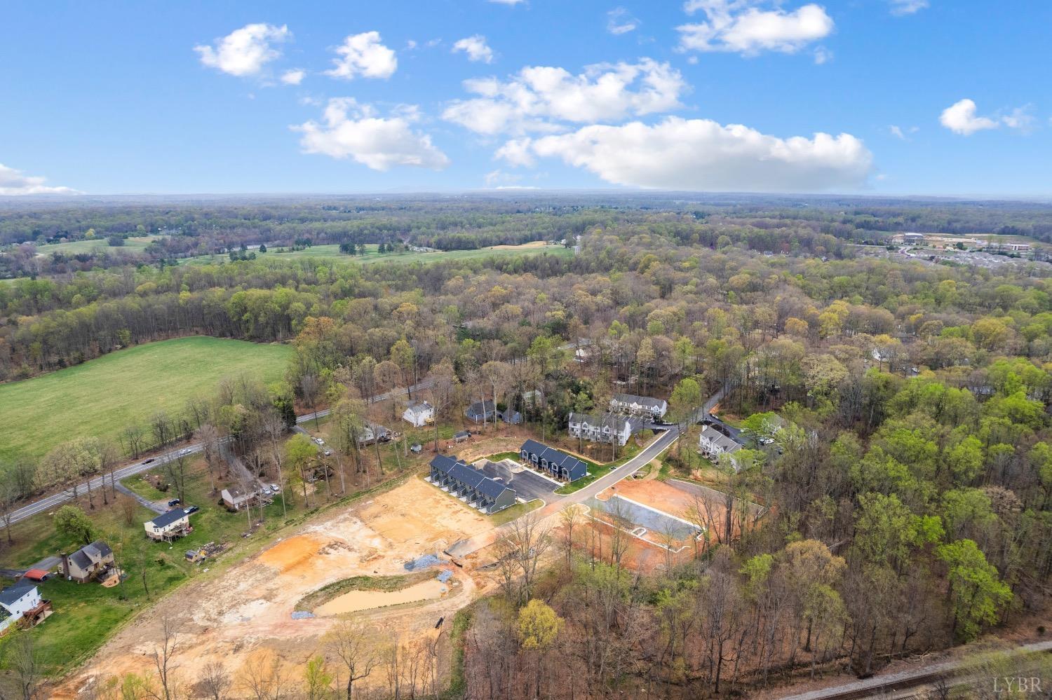 1029 Wythe Drive, Forest, Virginia image 48