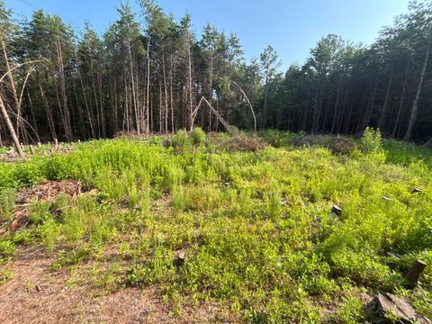 Vacant Land For Sale - Felix Road<br/> Nathalie, VA 24577