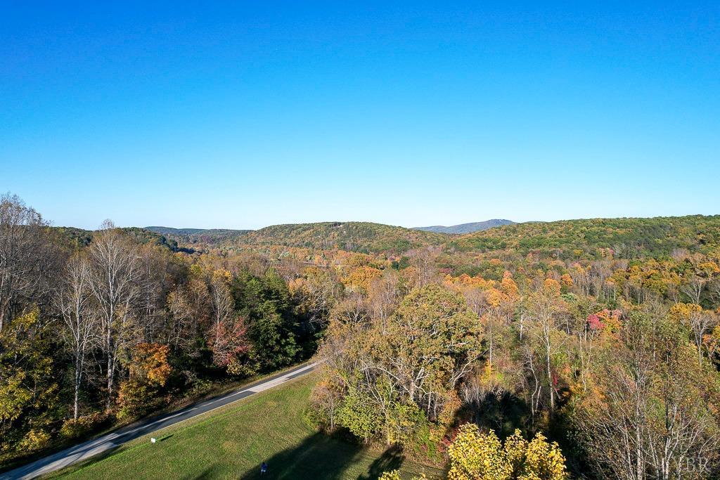 James River/oakville Rd, Appomattox, Virginia image 3