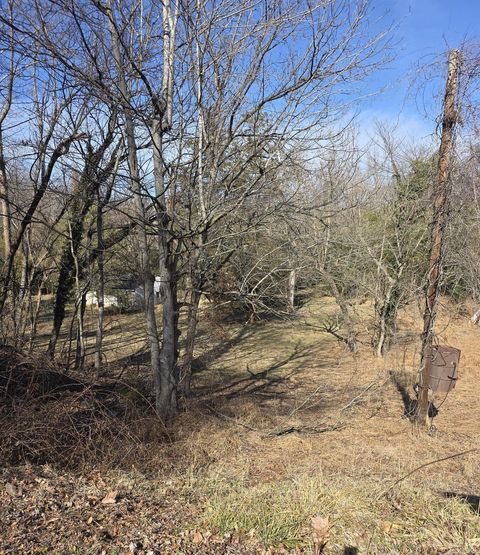 Tiny photo for 809 Old Forest Road, Lynchburg, VA 24501 (MLS # 364596)