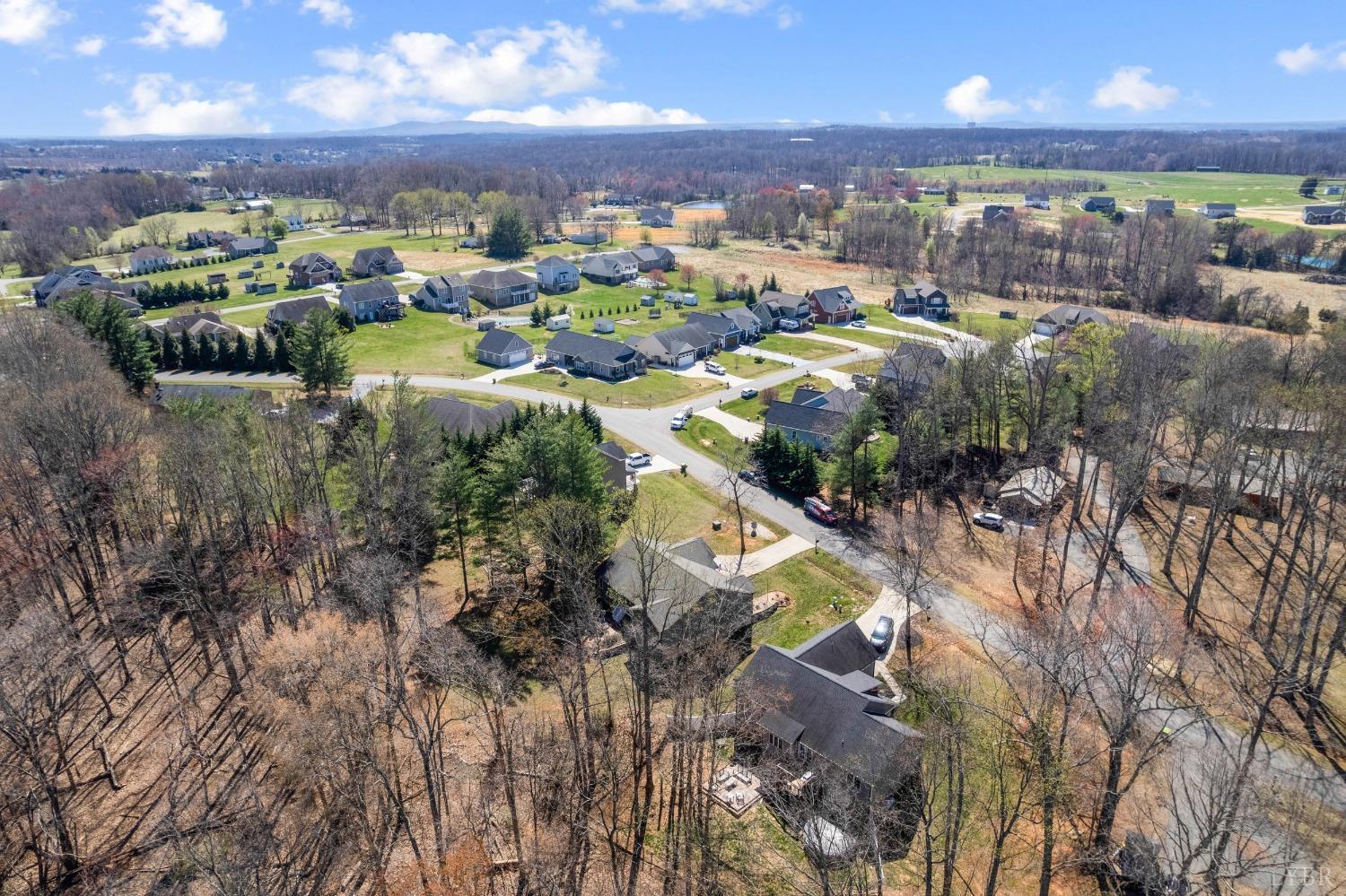 1257 Willow Oak Drive, Forest, Virginia image 9