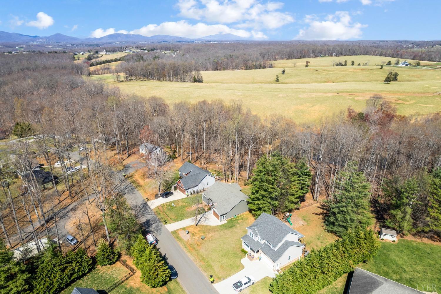 1257 Willow Oak Drive, Forest, Virginia image 7
