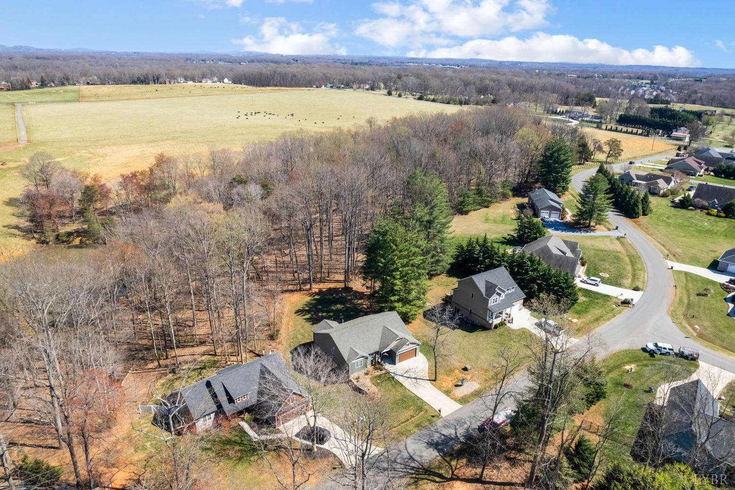 1257 Willow Oak Drive, Forest, Virginia image 11