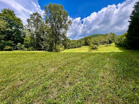 Photo of 0 Stewartsville Rd, Vinton, VA 24179 (MLS # 367230)
