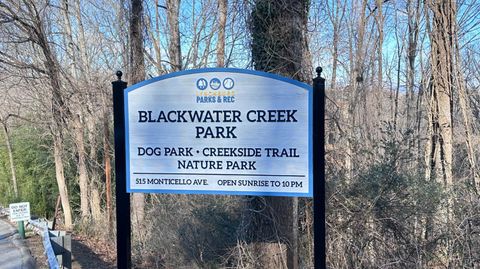 Tiny photo for 525 Monticello Avenue, Lynchburg, VA 24501 (MLS # 364157)