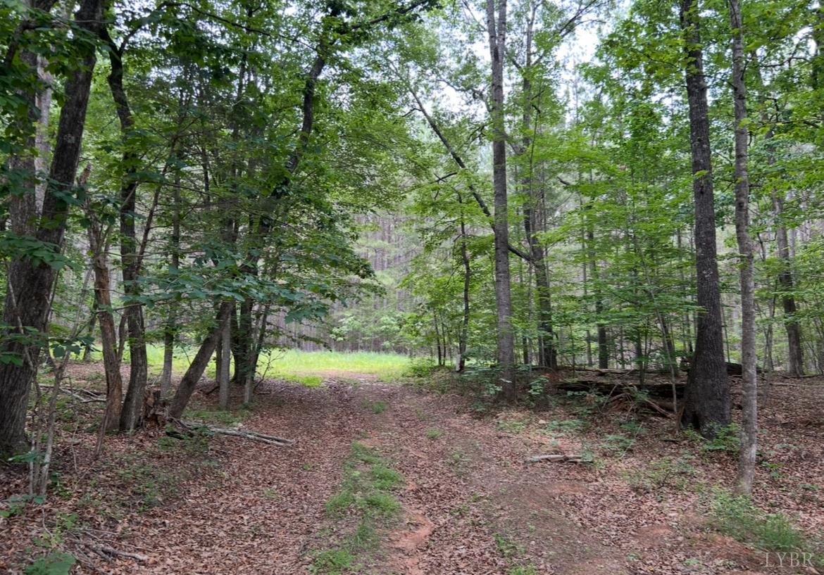 Rock Cliff Road, Bedford, Virginia image 6