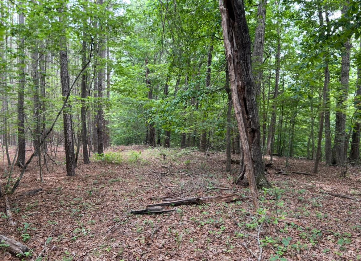 Rock Cliff Road, Bedford, Virginia image 10