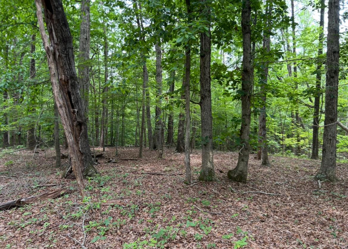 Rock Cliff Road, Bedford, Virginia image 11