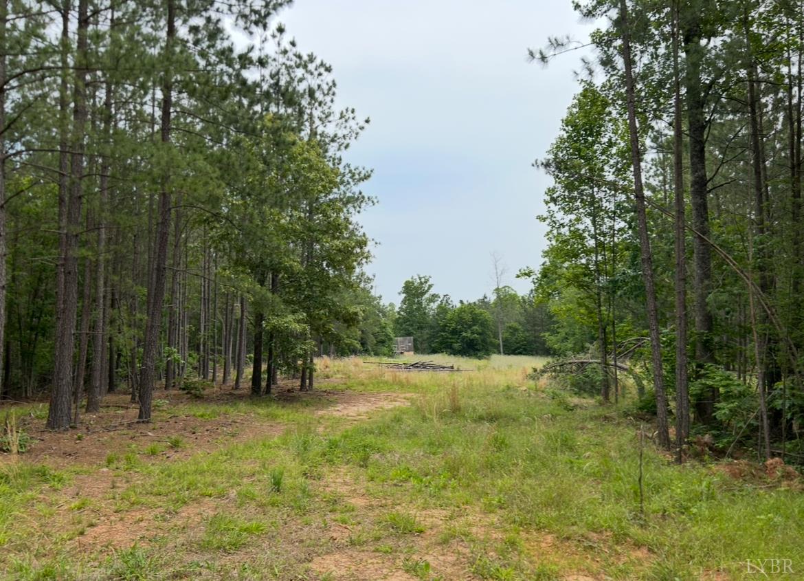 Rock Cliff Road, Bedford, Virginia image 8