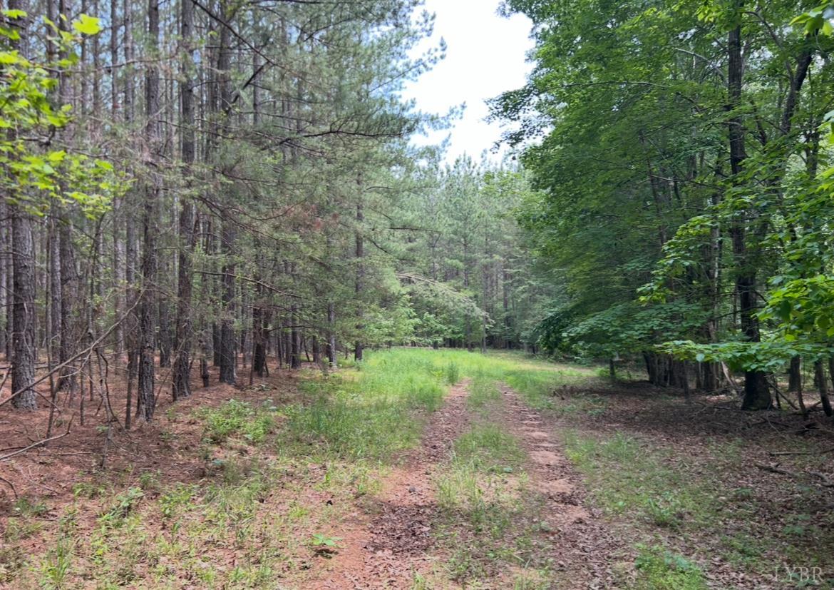 Rock Cliff Road, Bedford, Virginia image 5