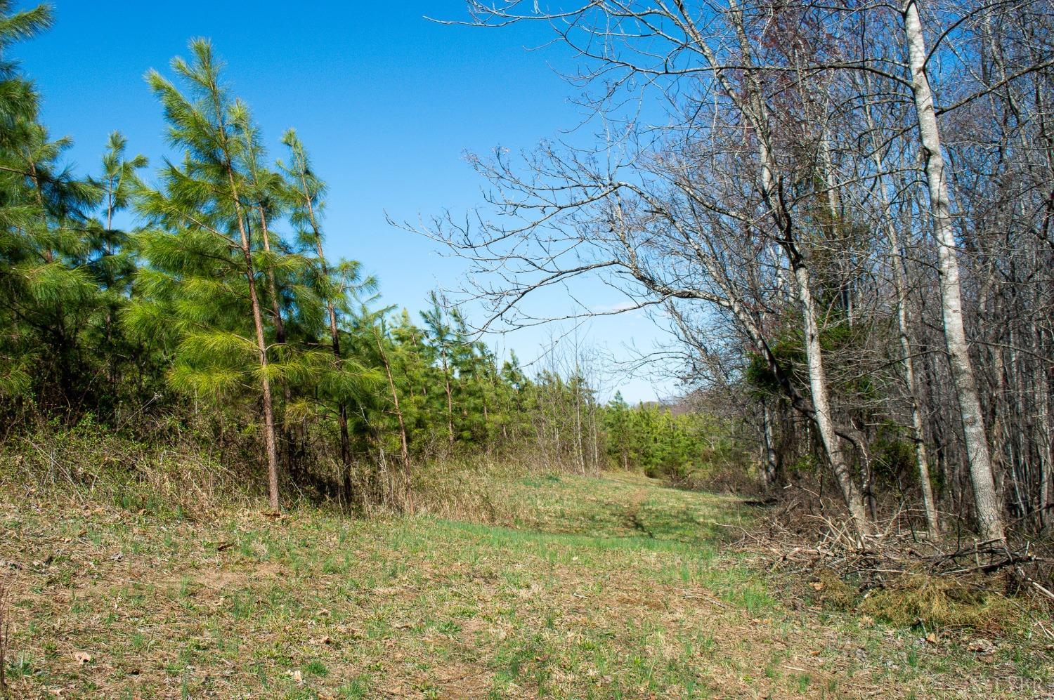 2736 Police Tower Road, Appomattox, Virginia image 22