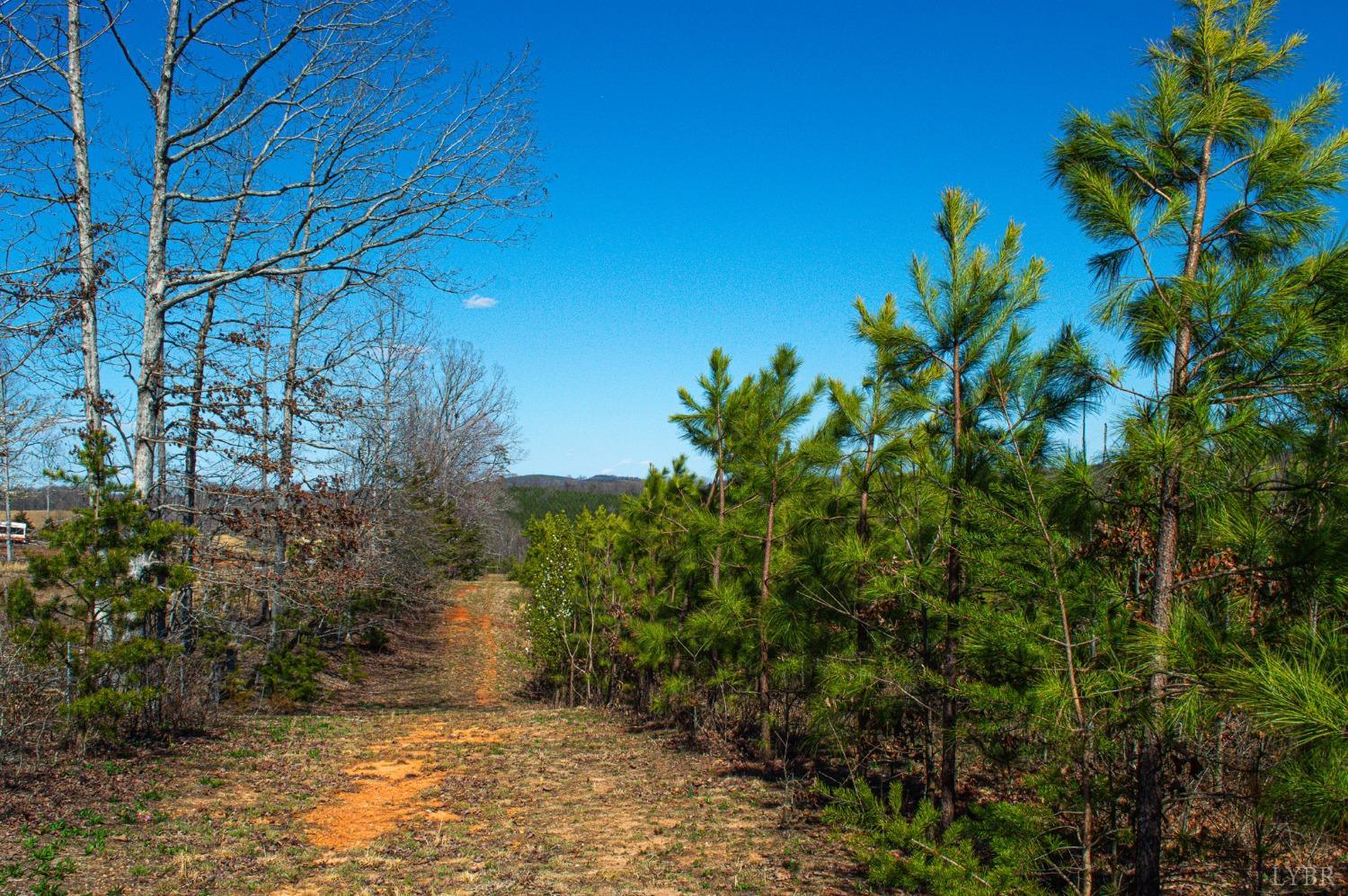 2736 Police Tower Road, Appomattox, Virginia image 23