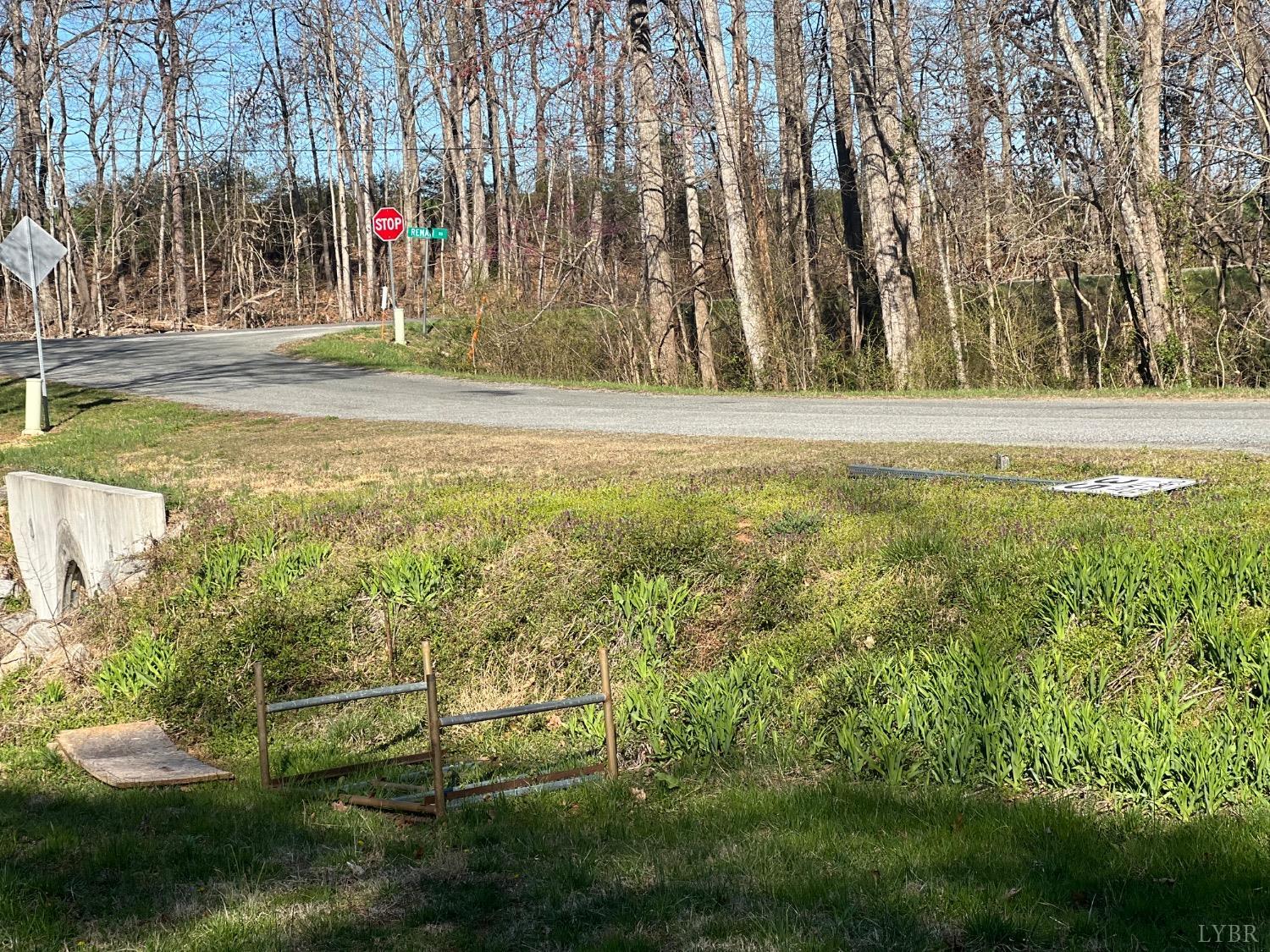 128 Bailess Drive, Hurt, Virginia image 28