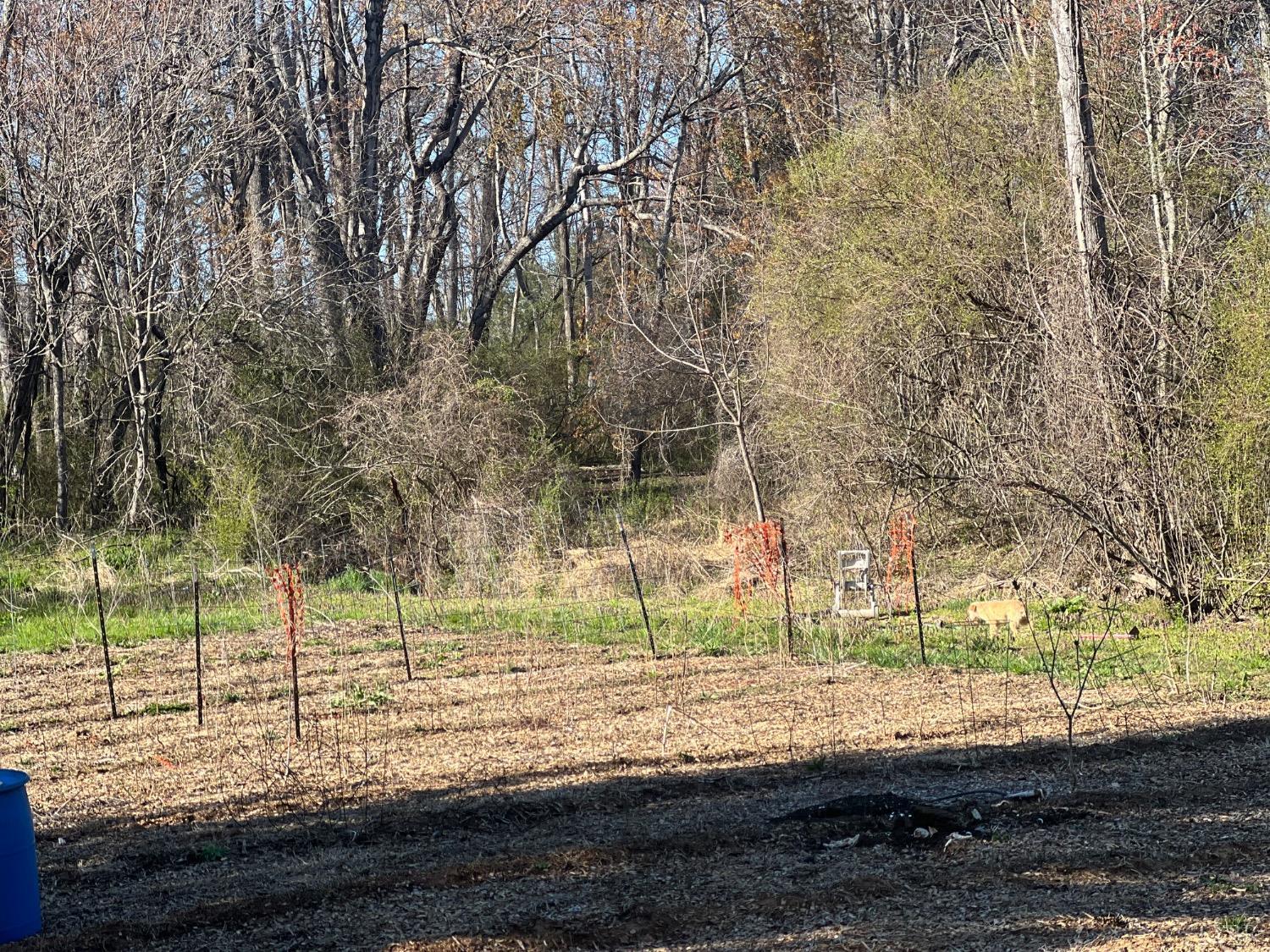 128 Bailess Drive, Hurt, Virginia image 27