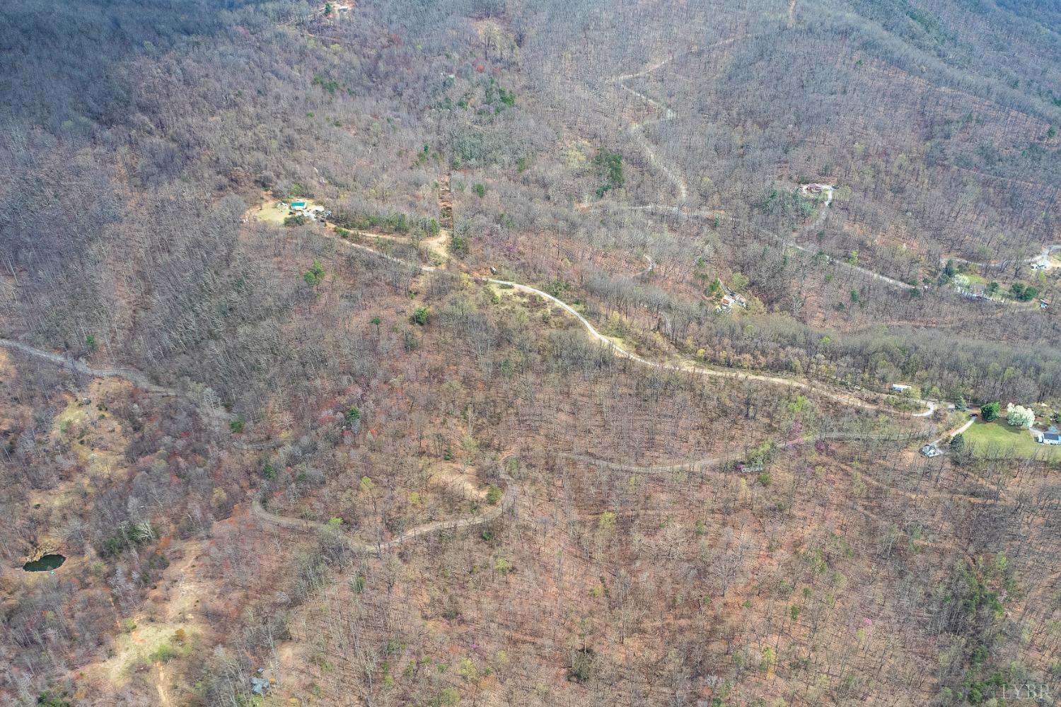Murray Hollow Road, Thaxton, Virginia image 8