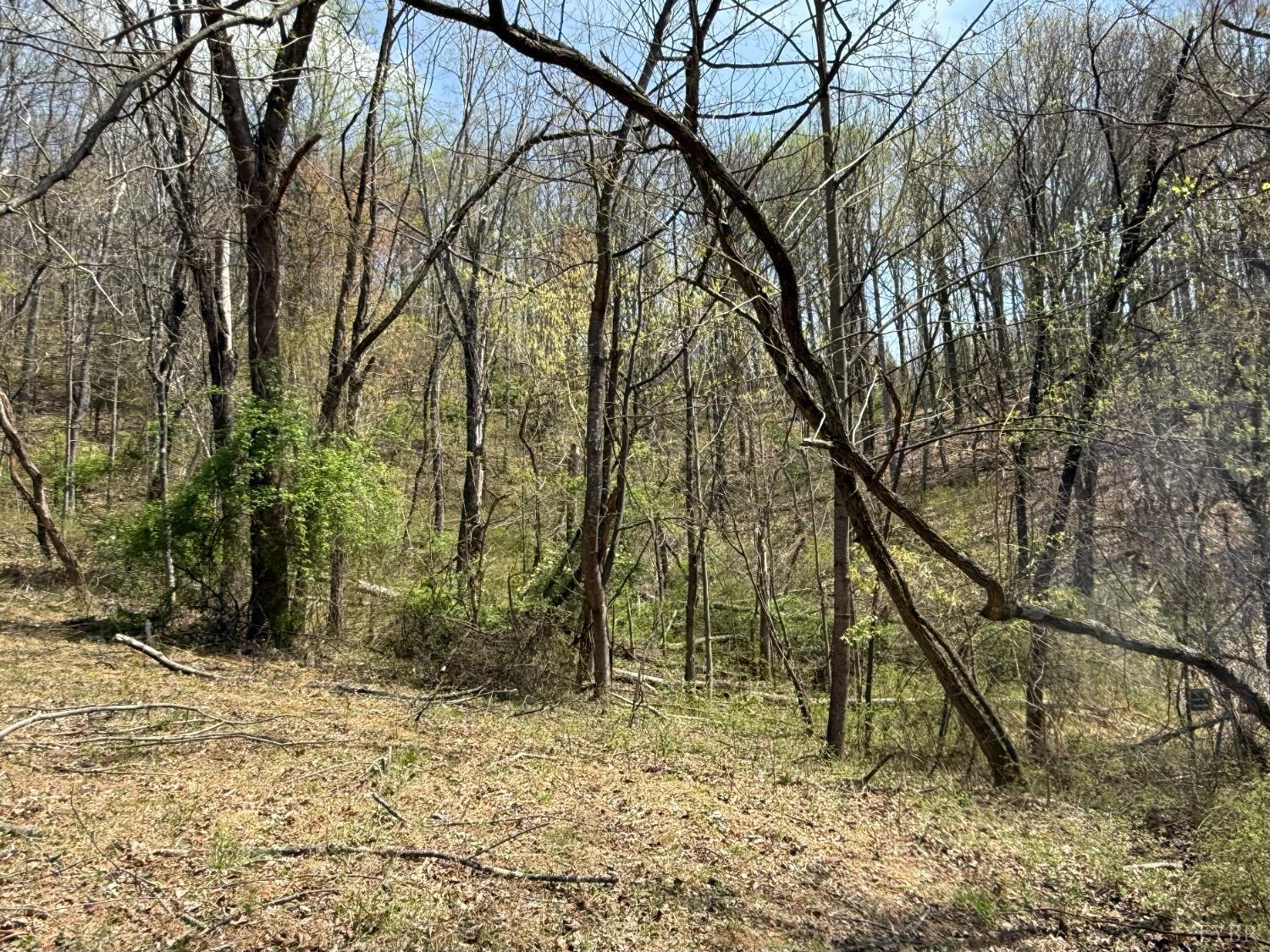 Murray Hollow Road, Thaxton, Virginia image 1
