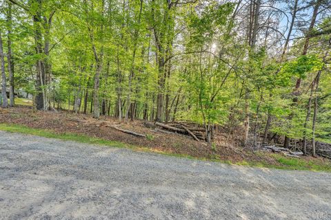 Tiny photo for 0 Stripers Court, Moneta, VA 24121 (MLS # 365939)
