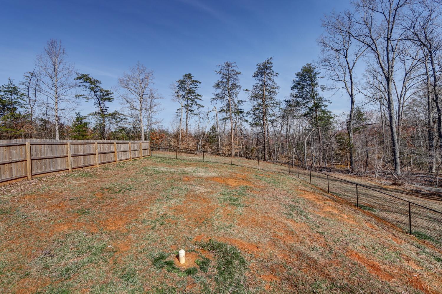 187 Windsor Forest Drive, Concord, Virginia image 47