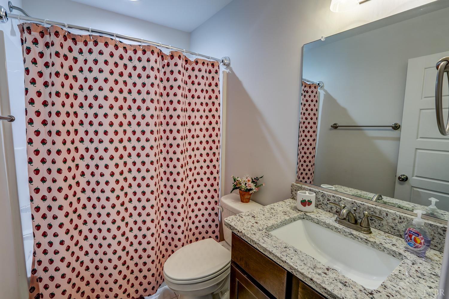 187 Windsor Forest Drive, Concord, Virginia image 41