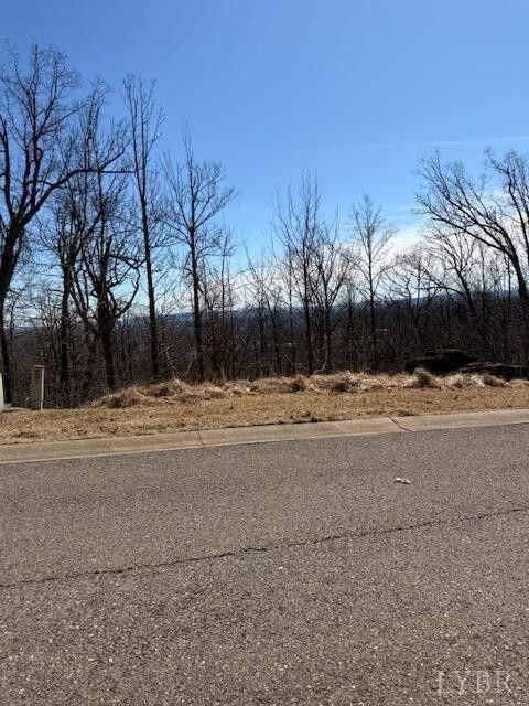Summit Drive, Rocky Mount, Virginia image 6