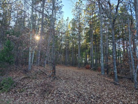 Tiny photo for 0 Mountain Creek Road, Meherrin, VA 23954 (MLS # 363326)
