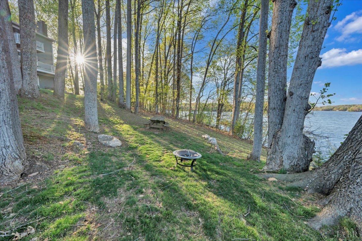 1791 Windlass Drive, Moneta, Virginia image 31