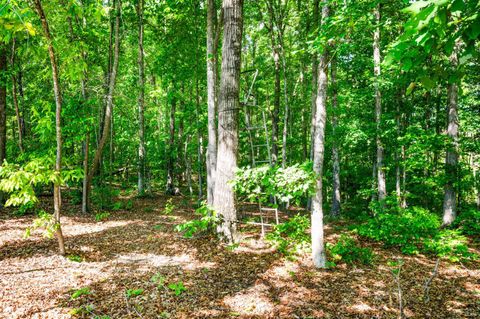 Tiny photo for 0 Beales Lane, Nathalie, VA 24577 (MLS # 366799)