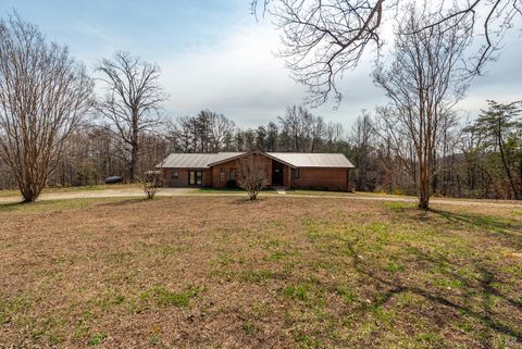 Tiny photo for 1621 Turkey Mountain Rd, Amherst, VA 24521 (MLS # 365008)