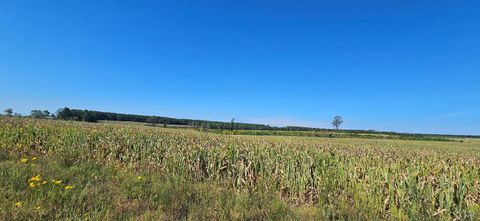 Tiny photo for 0 Glenmore Road, Scottsville, VA 24590 (MLS # 364352)