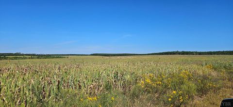 Tiny photo for 0 Glenmore Road, Scottsville, VA 24590 (MLS # 364352)