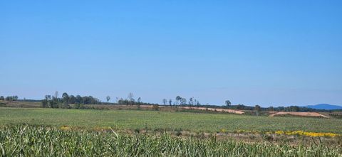 Tiny photo for 0 Glenmore Road, Scottsville, VA 24590 (MLS # 364352)