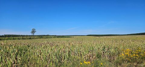 Tiny photo for 0 Glenmore Road, Scottsville, VA 24590 (MLS # 364352)