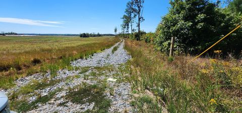 Tiny photo for 0 Glenmore Road, Scottsville, VA 24590 (MLS # 364352)