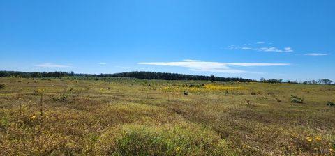 Tiny photo for 0 Glenmore Road, Scottsville, VA 24590 (MLS # 364352)