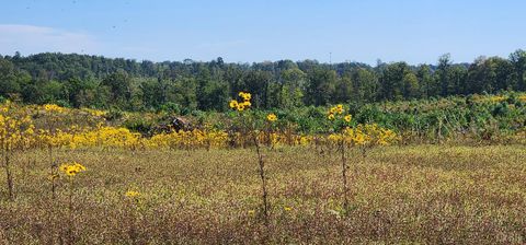 Tiny photo for 0 Glenmore Road, Scottsville, VA 24590 (MLS # 364352)