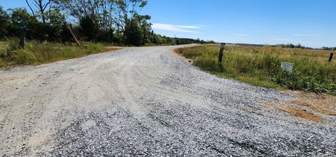 Tiny photo for 0 Glenmore Road, Scottsville, VA 24590 (MLS # 364352)