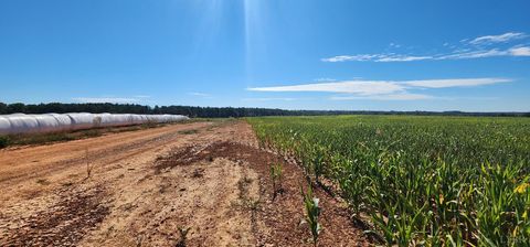 Tiny photo for 0 Glenmore Road, Scottsville, VA 24590 (MLS # 364352)