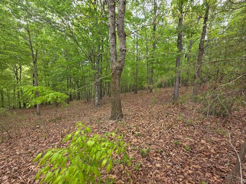 Tiny photo for 0 Lot 25 Garrison Ridge, Pittsville, VA 24139 (MLS # 366685)