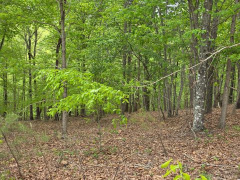 Tiny photo for 0 Lot 25 Garrison Ridge, Pittsville, VA 24139 (MLS # 366685)