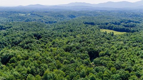 Tiny photo for 0 Love Lady Creek, Monroe, VA 24574 (MLS # 363706)
