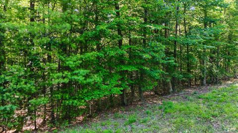 Tiny photo for 0 Love Lady Creek, Monroe, VA 24574 (MLS # 363706)