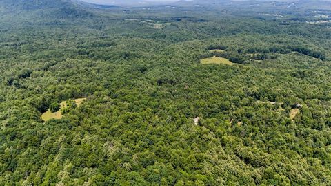 Tiny photo for 0 Love Lady Creek, Monroe, VA 24574 (MLS # 363706)