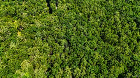 Tiny photo for 0 Love Lady Creek, Monroe, VA 24574 (MLS # 363706)