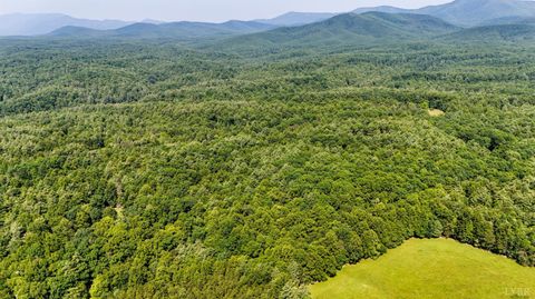 Tiny photo for 0 Love Lady Creek, Monroe, VA 24574 (MLS # 363706)