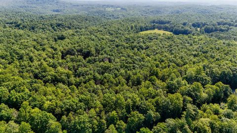 Tiny photo for 0 Love Lady Creek, Monroe, VA 24574 (MLS # 363706)