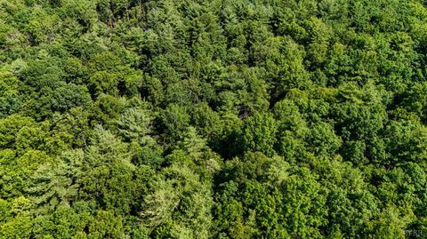 Tiny photo for 0 Love Lady Creek, Monroe, VA 24574 (MLS # 363706)
