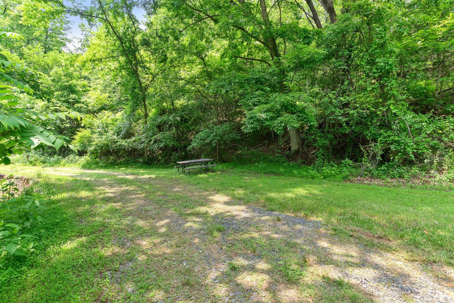 277 Crab Creek Rd Rd, Monroe, Virginia image 44