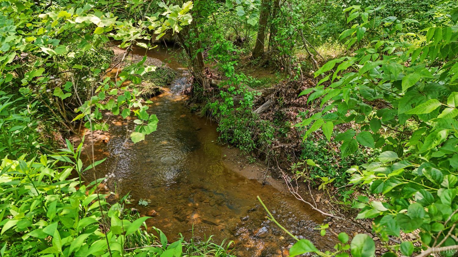 277 Crab Creek Rd Rd, Monroe, Virginia image 39