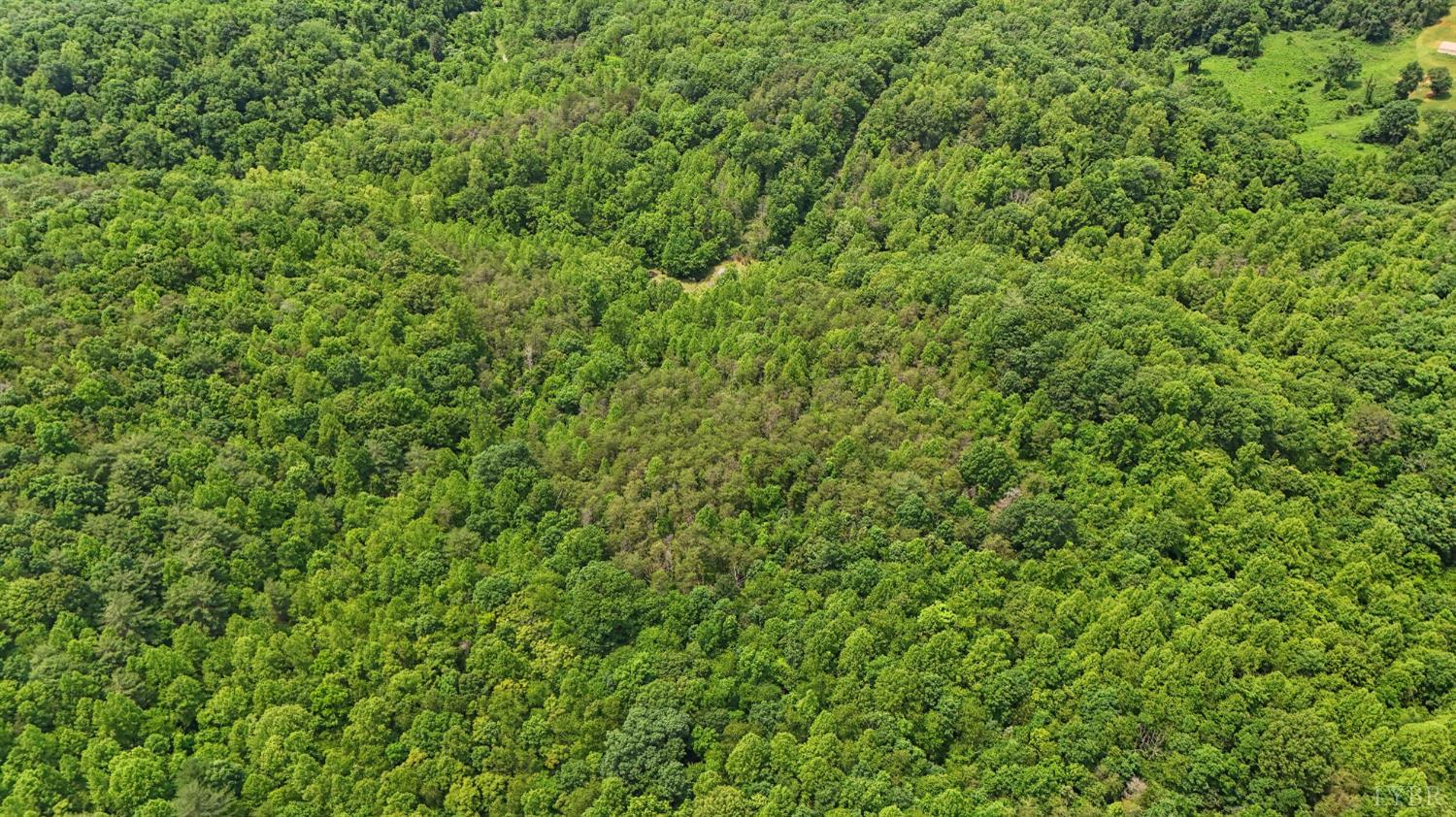 277 Crab Creek Rd Rd, Monroe, Virginia image 34